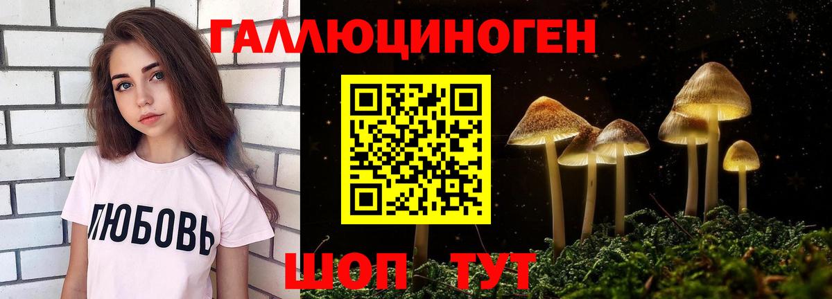 купить наркотик  Вход с VPN  Ангарск  Псилоцибиновые грибы Cubensis 