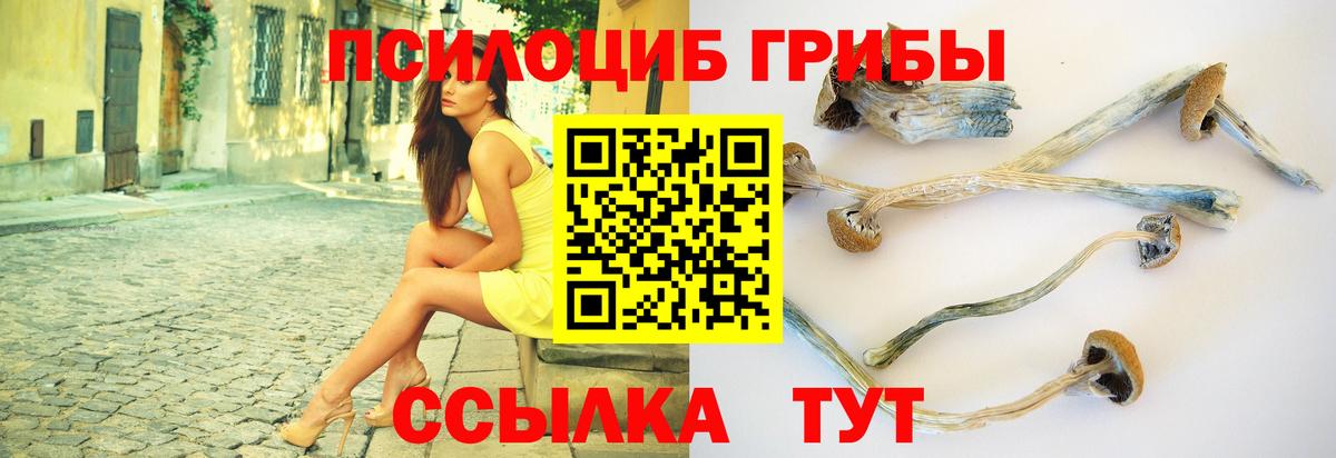 Псилоцибиновые грибы ЛСД Ангарск